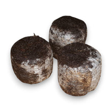 Laden Sie das Bild in den Galerie-Viewer, Torfquelltöpfe - Jiffy.