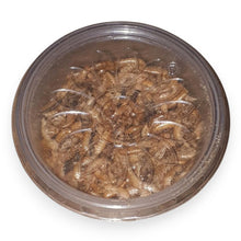 Laden Sie das Bild in den Galerie-Viewer, Karnivorenfutter (organisch).