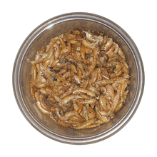 Load image into Gallery viewer, Carnivore food (organic)