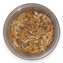Laden Sie das Bild in den Galerie-Viewer, Karnivorenfutter (organisch).