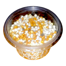 Load image into Gallery viewer, Special fertilizer for carnivores, long-term fertilizer (Osmocote)