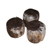 Load image into Gallery viewer, Peat pots - Jiffy