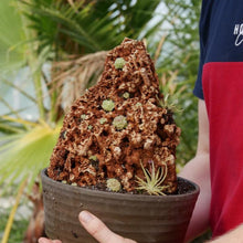 Laden Sie das Bild in den Galerie-Viewer, travertin stein