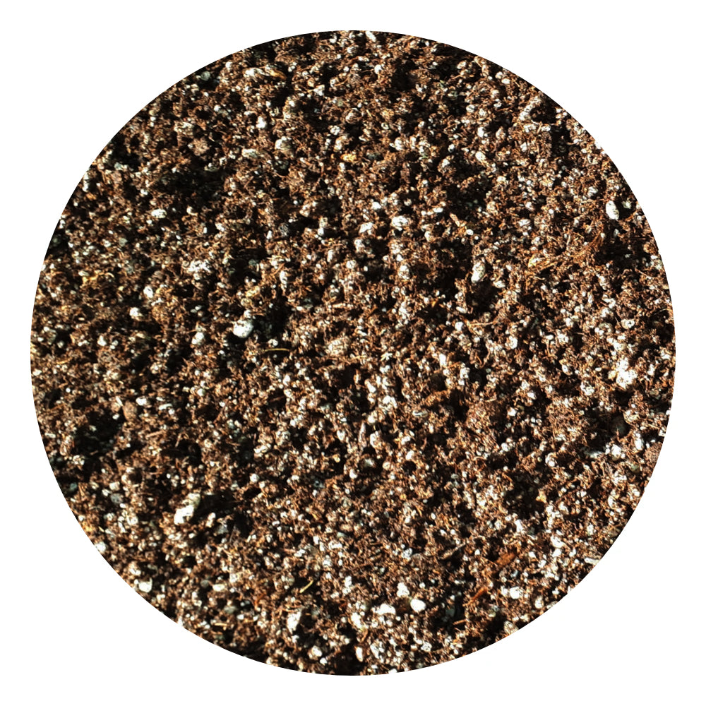 Carnivore Substrate (Base)
