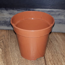 Load image into Gallery viewer, planting pots - different sizes
